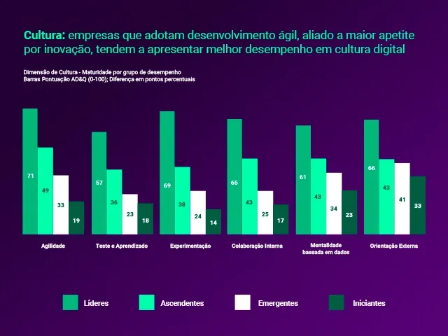 Gráfico sobre cultura digital em empresas inovadoras